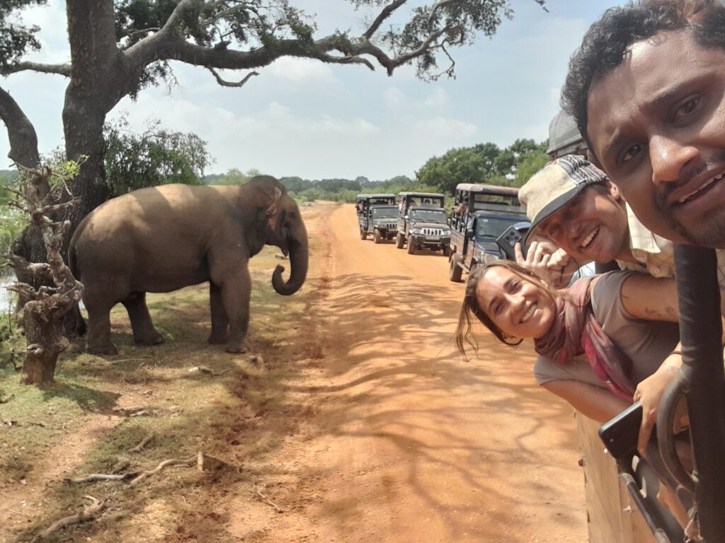 Udawalawe National Park Safari from South Coast to Ella Udawalawe National park safari tours