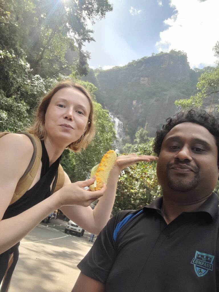 Ella city tour from Waligama