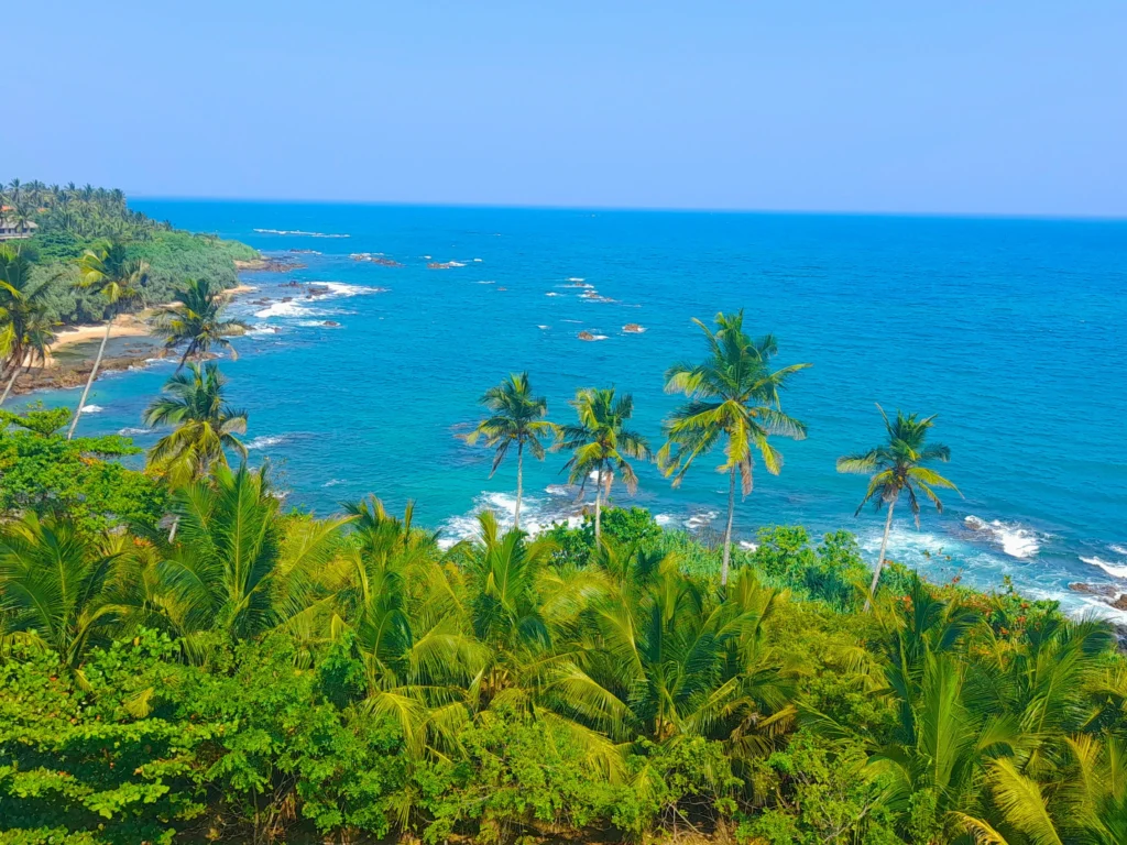 Yala safari from Tangalle