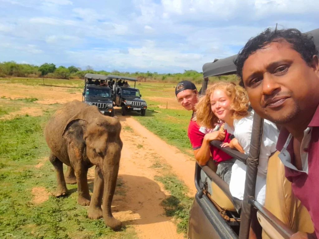 Yala national park safari tours