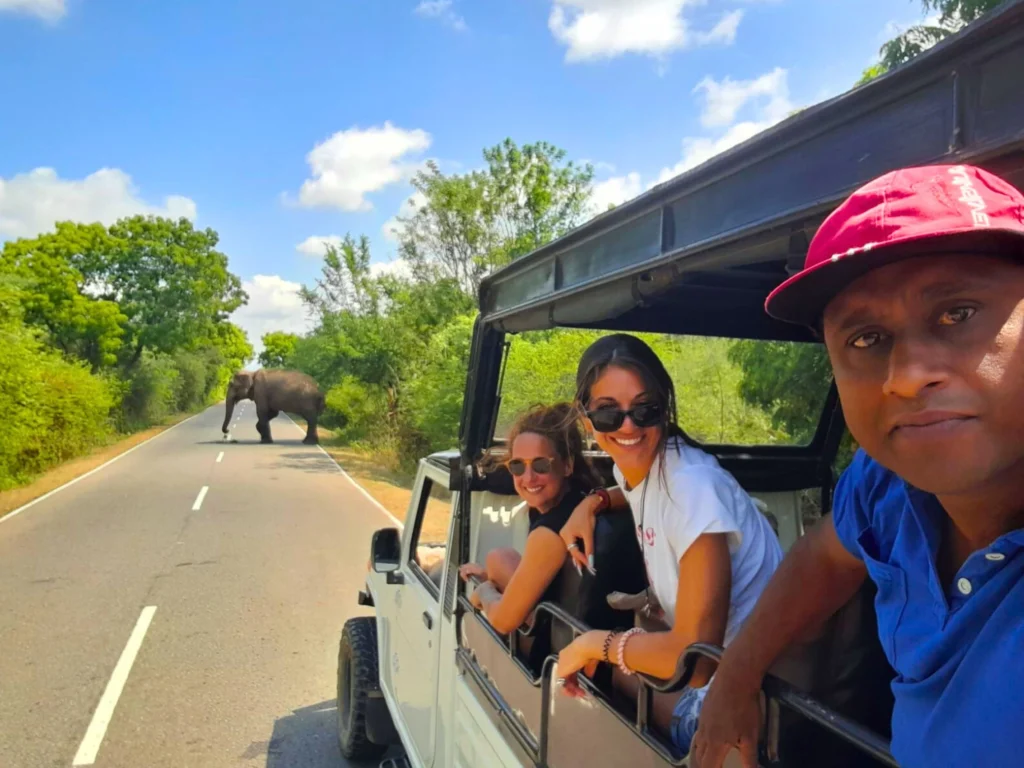 Yala national park safari tours