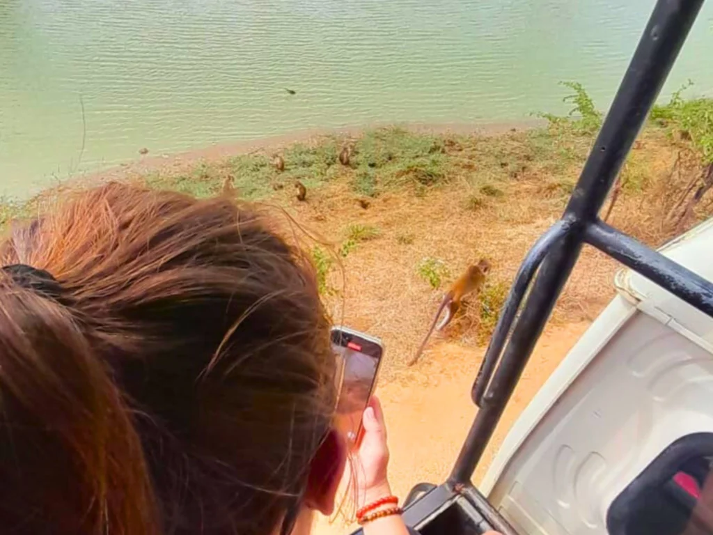 Yala national park safari tours