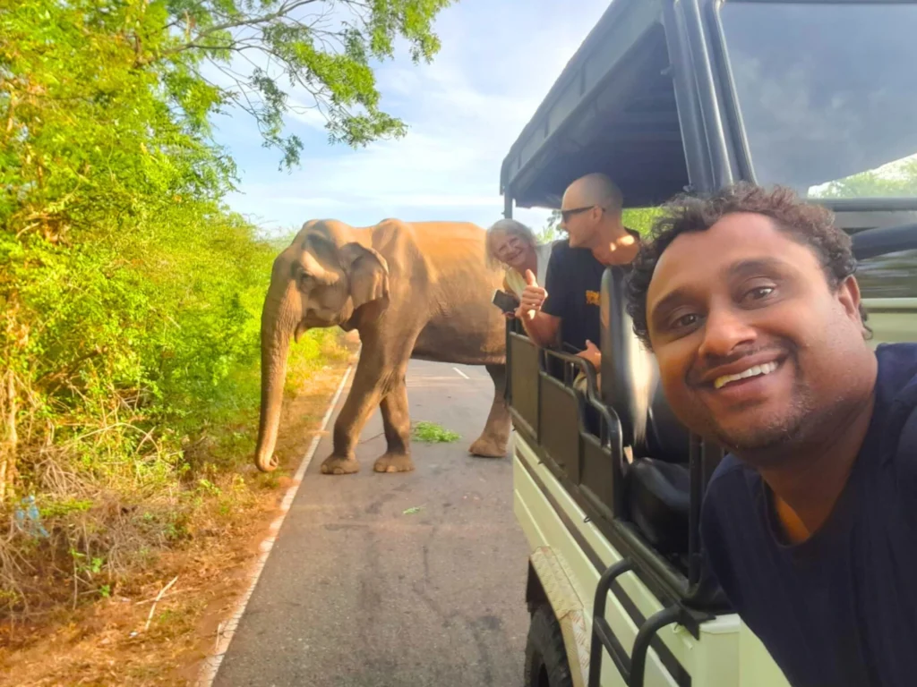 Yala national park safari tours